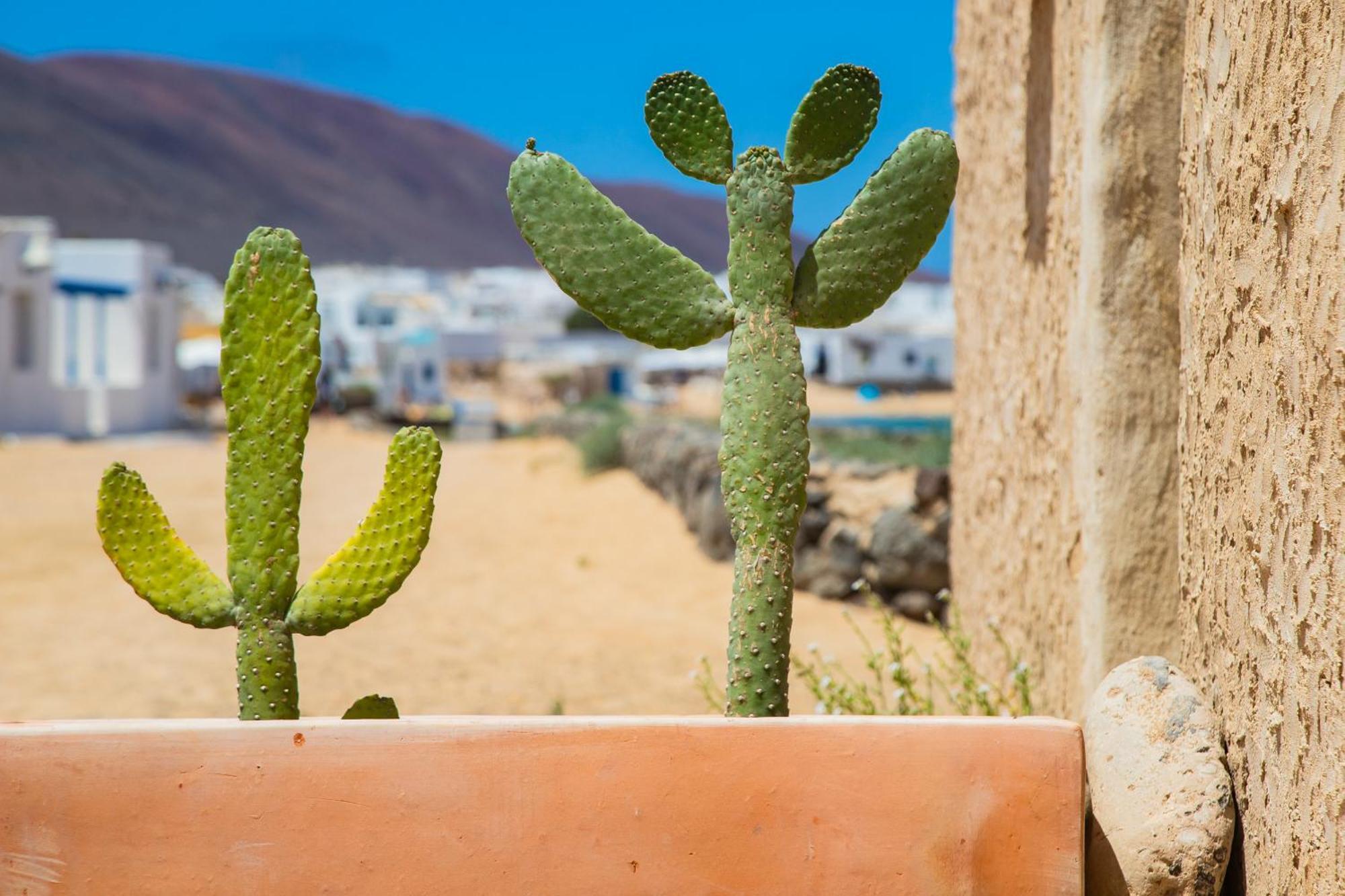 Eslanzarote La Duna House, Wifi, Sea Views Калета де Себо Екстер'єр фото